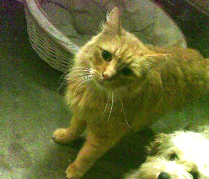 爱游戏体育app-马赛再遭意外失利，球队需调整战术寻找突破，马赛2021阵容