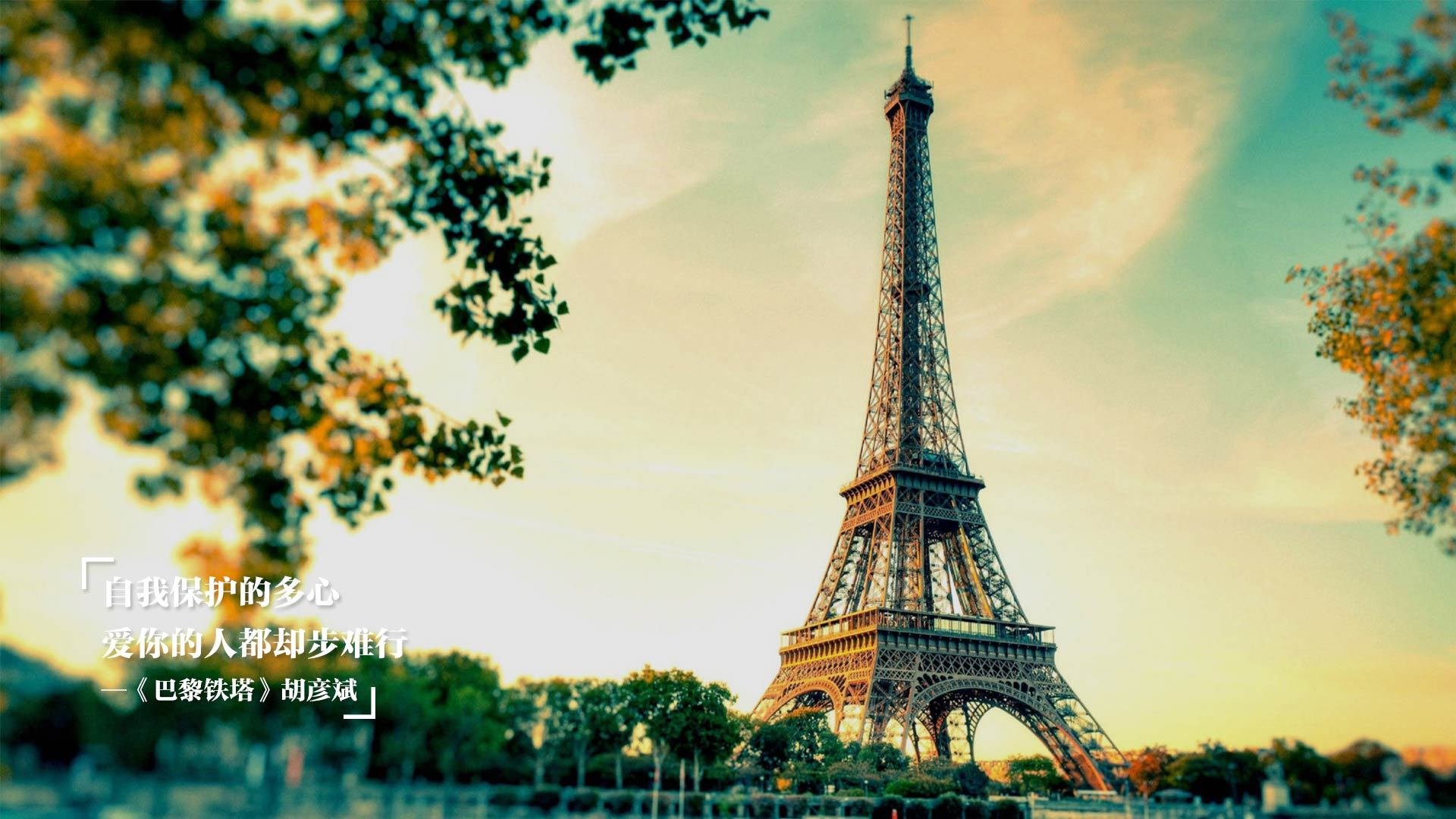 中国篮球职业联赛俱乐部青训体系建设及实践探索，职业篮球青年队