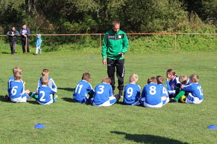 爱游戏app-中国足球年度战术视频分析内容频次统计，中国足球战术风格