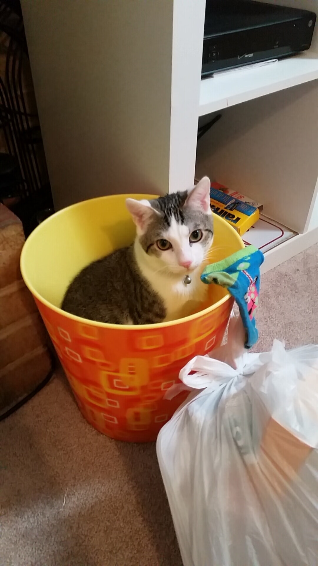 英超青训引入虚拟现实技术强化战术理解和实战演练,英超青训最好的球队