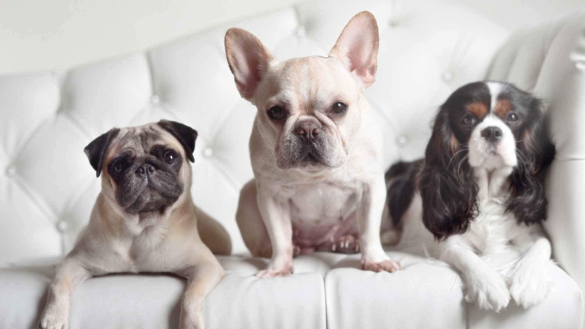 西甲球队采用机器学习预测对手传球线路变化,2020西甲用球