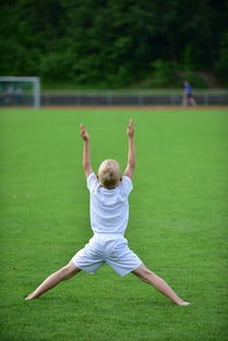 -高校体育赛事观众体验提升，高校体育赛事观众体验提升方案