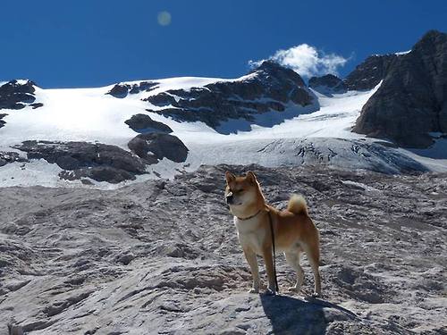世界杯中国青年队爆冷 球迷热议战术问题,2022世界杯中国队怎么才能出线