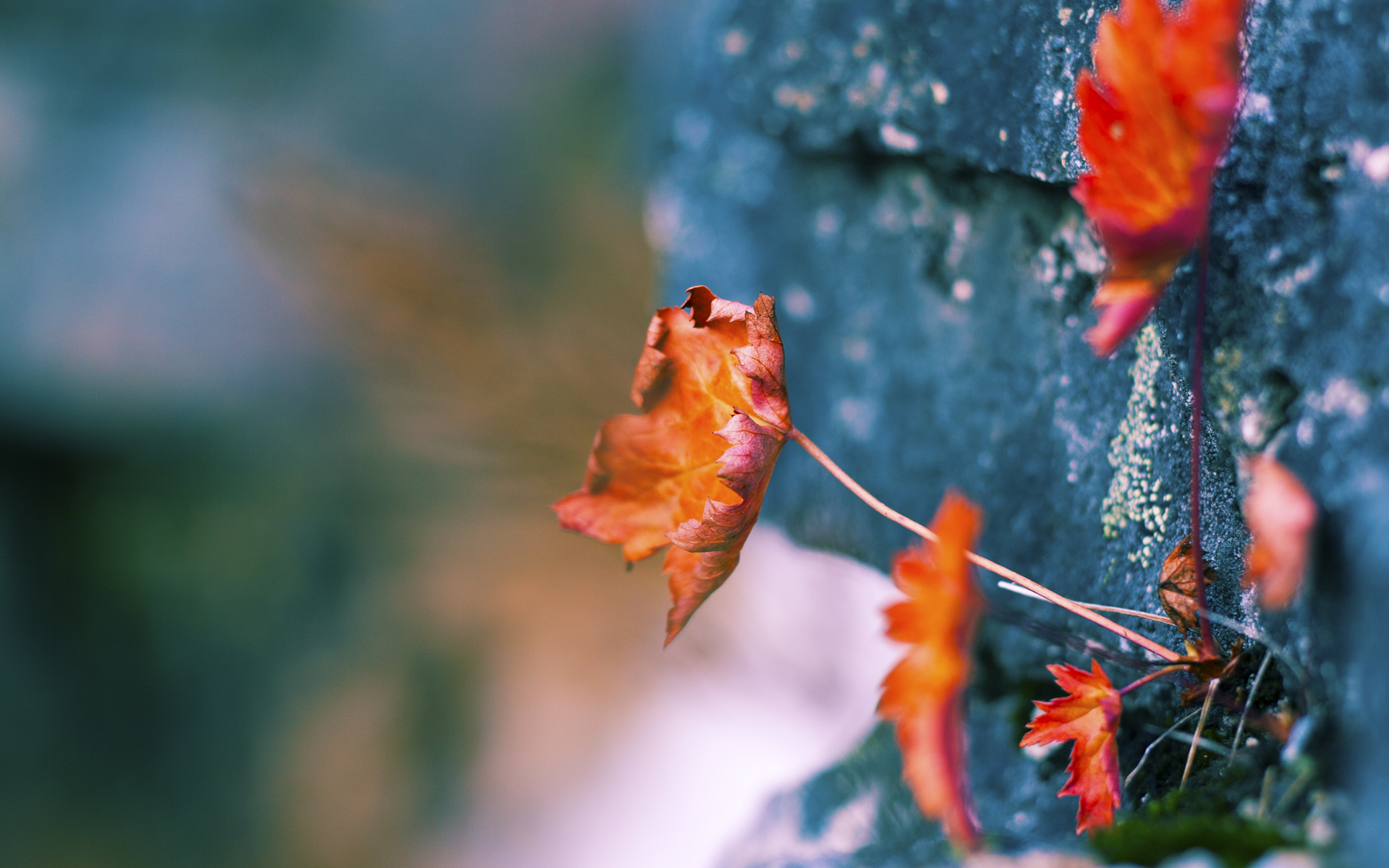 爱游戏体育官方网站-五大联赛赛季初胜率与最终排名是否存在强相关，五大联赛赛季初是不是容易爆冷