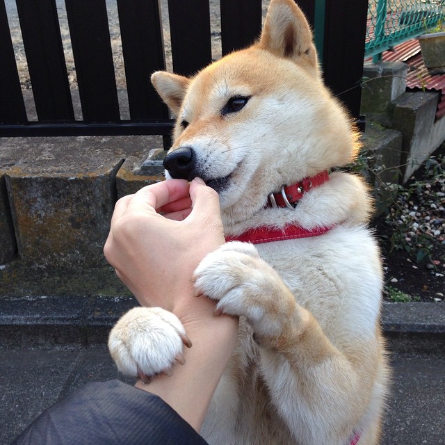 爱游戏电竞-埃及乒乓队未来：通过创新训练模式提升球员竞技水平，埃及乒乓球厉害吗