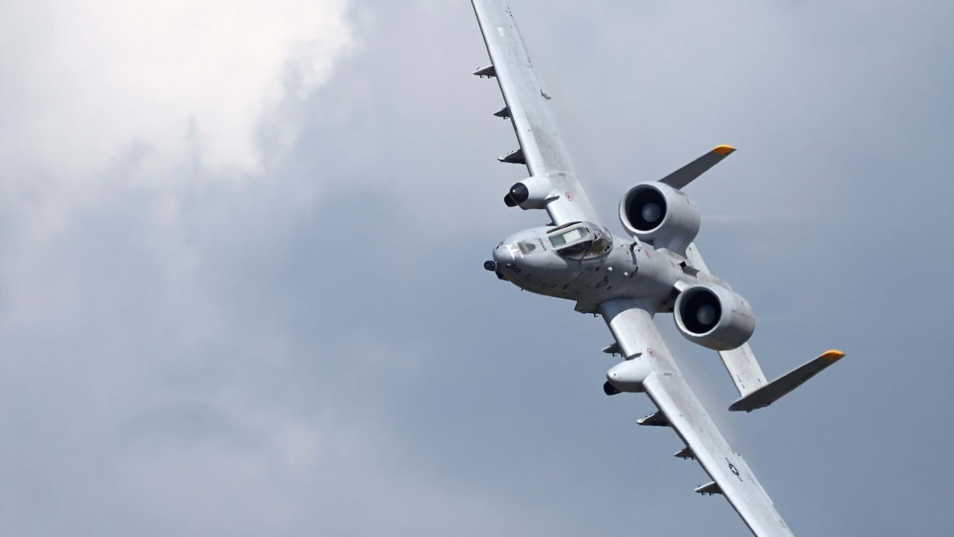 女子仰泳划频表现突出,女子仰泳100米