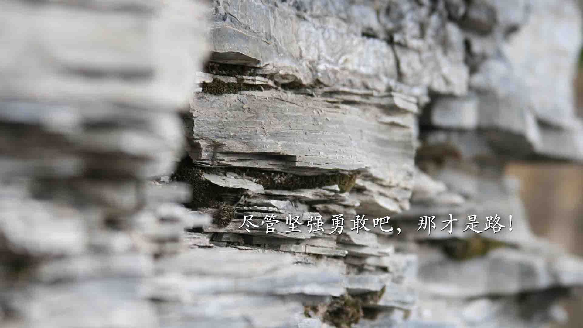 AYX GAMING-中国女子4×200米自由泳接力技术稳健，中国队女子4×200米自由泳接力比赛视频完整版