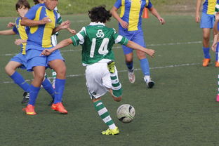 爱游戏中国官方网站平台-中国足球国家队备战友谊赛调整战术策略，国足 友谊赛