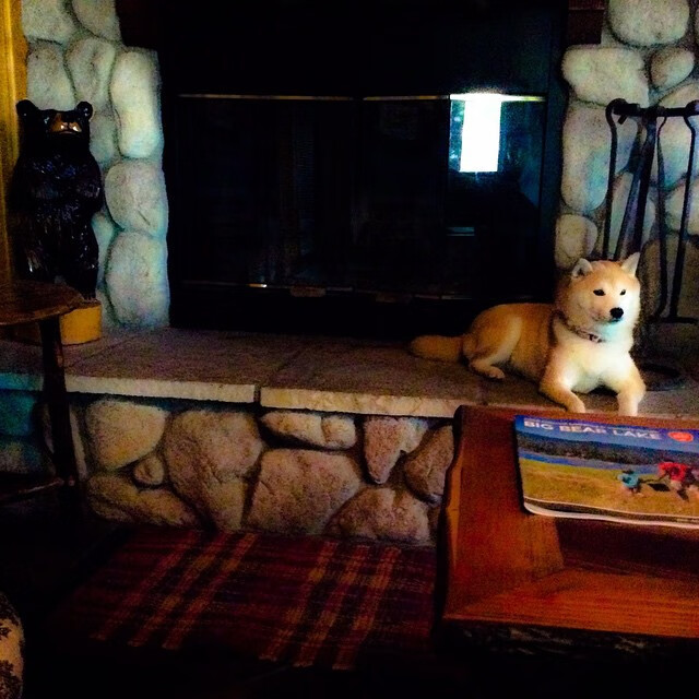 爱游戏在线登录入口-中国篮球加强与国际组织合作拓展发展空间，中国国际篮球队