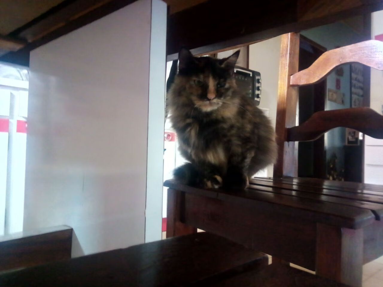 全黑队依靠全员参与防守,极大提升防线稳固性,全黑队服