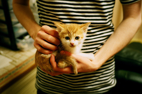 德甲血战到底：攻守对决令人血脉喷张，德甲打法特点